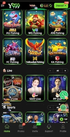 Y999 Game